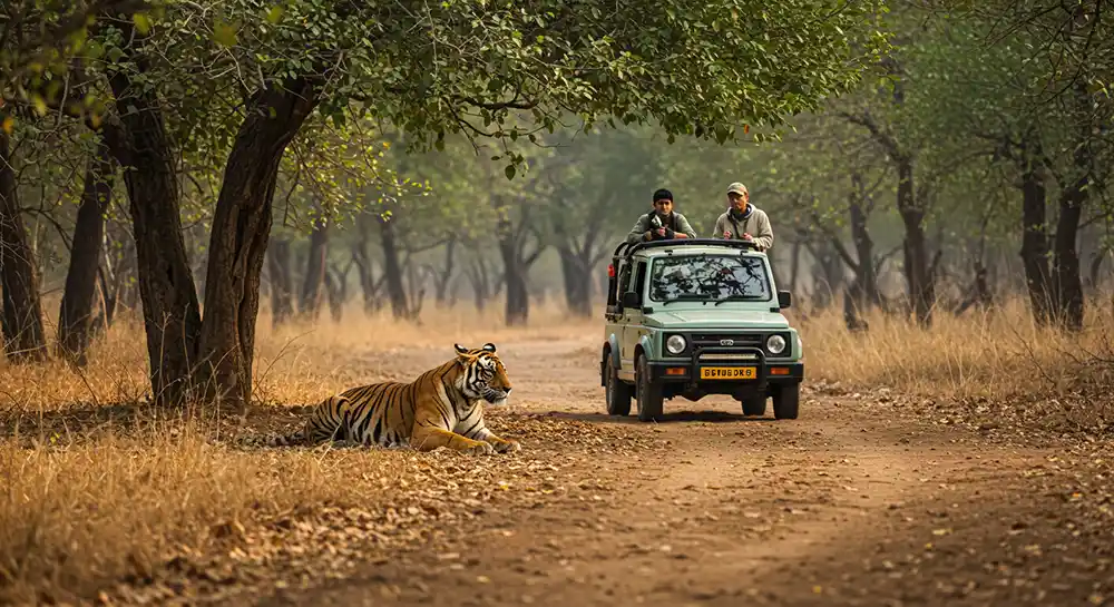 Dudhwa national park stay and safari